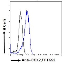COX-2 Antibody, Novus Biologicals 0.1mg; Unlabeled:Antibodies, Polyclonal
