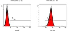CRIPTO Antibody - BSA Free, Novus Biologicals:Antibodies:Primary Antibodies