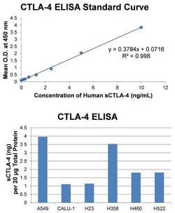 Novus Biologicals&trade;&nbsp;Human CTLA-4 ELISA Kit (Colorimetric)