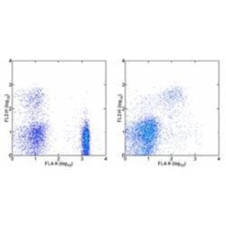 CXCR2/IL-8RB Antibody (5E8-C7-F10) - BSA Free, Novus Biologicals 0.5mg;