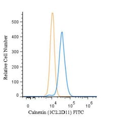 Calnexin Antibody (1C2.2D11) - BSA Free, Novus Biologicals:Antibodies:Primary