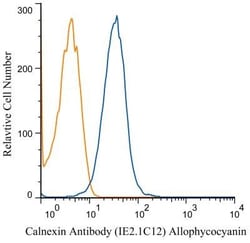 Calnexin Antibody (IE2.1C12) - BSA Free, Novus Biologicals:Antibodies:Primary