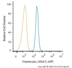 Calreticulin Antibody (1G6A7) - BSA Free, Novus Biologicals:Antibodies:Primary