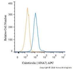 Calreticulin Antibody (1G6A7) - BSA Free, Novus Biologicals:Antibodies:Primary