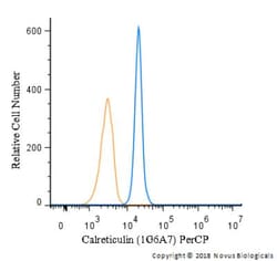 Calreticulin Antibody (1G6A7) - BSA Free, Novus Biologicals:Antibodies:Primary