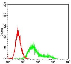 Casein Kinase 2 beta Antibody (2F12F3) - BSA Free, Novus Biologicals 0.1mg;