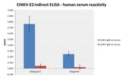 Novus Biologicals Recombinant Virus Chikungunya Virus E2 Fc Protein 0.5 mg | Buy Online | Novus Biologicals | Fisher Scientific