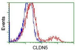 Claudin-5 Antibody (OTI1G4), Novus Biologicals 0.1mL; Unlabeled:Antibodies,
