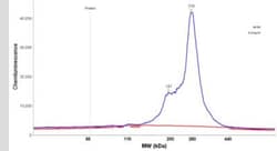 Collagen VI alpha 3 Antibody, Novus Biologicals 0.1mL; Unlabeled:Antibodies,