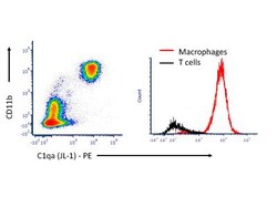 Complement Component C1qA Antibody (JL-1), Novus Biologicals 0.05mg; Unlabeled:Antibodies,