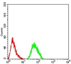 Complement Factor H-related 5/CFHR5 Antibody (3A10A5) - BSA Free, Novus