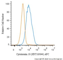 Cytokeratin 10 Antibody (KRT10/844) - Azide and BSA Free, Novus Biologicals