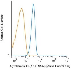 Cytokeratin 14 Antibody (KRT14/532), Novus Biologicals 0.2mg; Unlabeled:Antibodies,