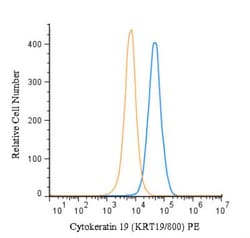 Cytokeratin 19 Antibody (KRT19/800) - Azide and BSA Free, Novus Biologicals