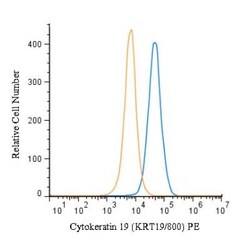 Cytokeratin 19 Antibody (KRT19/800), Novus Biologicals 0.2mg; Unlabeled:Antibodies,