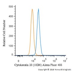 Cytokeratin 20 Antibody (10D8) - BSA Free, Novus Biologicals 100&mu;L;