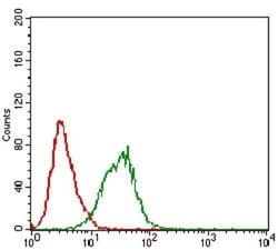 DAPK3/ZIPK Antibody (4H4C8) - BSA Free, Novus Biologicals 0.1mg; Unlabeled:Antibodies,