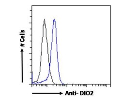 DIO2 Antibody, Novus Biologicals 0.1mg; Unlabeled:Antibodies, Polyclonal