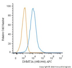 DNMT3A Antibody (64B1446) - BSA Free, Novus Biologicals:Antibodies:Primary