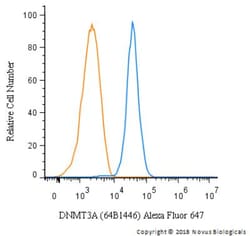 DNMT3A Antibody (64B1446) - BSA Free, Novus Biologicals:Antibodies:Primary