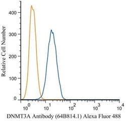 DNMT3A Antibody (64B814.1), Novus Biologicals 0.1mg; Unlabeled:Antibodies,