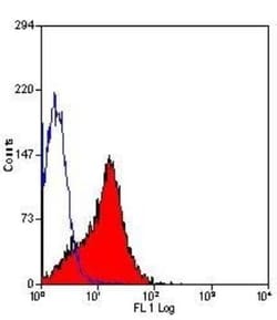 DPPIV/CD26 Antibody (H207-1082) - BSA Free 0.125 mg; Unconjugated:Antibodies,