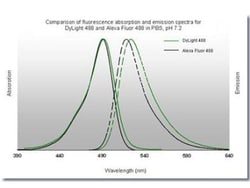 Donkey anti-Mouse IgG (H+L) Secondary Antibody, DyLight 488 (Pre-adsorbed),
