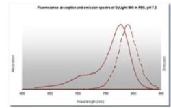Donkey anti-Sheep IgG (H+L) Secondary Antibody (Pre-adsorbed), Novus Biologicals