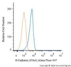 E-Cadherin Antibody (67A4) - BSA Free, Novus Biologicals 0.1mg; Unlabeled:Antibodies,