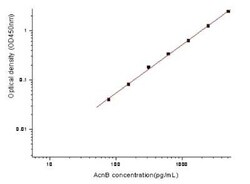 Novus Biologicals&nbsp;E. coli Aconitate hydratase B ELISA Kit (Colorimetric)