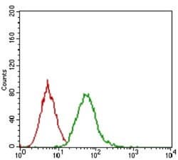 EGFR Antibody (5E10D3) - BSA Free, Novus Biologicals 0.1mL; Unlabeled:Antibodies,