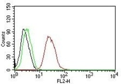 ER beta/NR3A2 Antibody (ESR2/686), Novus Biologicals 0.2mg; Unlabeled:Antibodies,