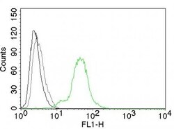 ER beta/NR3A2 Antibody (ESR2/686), Novus Biologicals 0.2mg; Unlabeled:Antibodies,