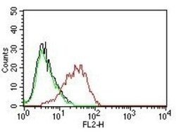 EpCAM/TROP1 Antibody (EGP40/837) - (ECD), Novus Biologicals 0.2mg; Unlabeled:Antibodies,