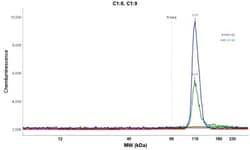 FCHO2 Antibody, Novus Biologicals 25 &mu;L | Buy Online | Novus Biologicals | Fisher Scientific