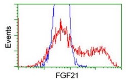 FGF-21 Antibody (OTI2F10), Novus Biologicals 0.1mL; Unlabeled:Antibodies,