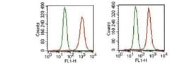 FGFR1 Antibody (M17D10) - BSA Free, Novus Biologicals 0.025mL; Unlabeled:Antibodies,