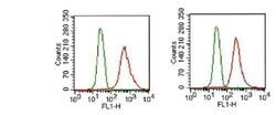 FGFR1 Antibody (M17D10) - BSA Free, Novus Biologicals 0.025mL; Unlabeled:Antibodies,