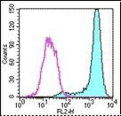 Fc epsilon RI Antibody (43160) - BSA Free, Novus Biologicals 0.5 mg; Unconjugated:Antibodies,
