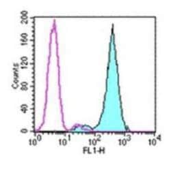 Fc epsilon RI Antibody (43160) - BSA Free, Novus Biologicals 0.5 mg; Unconjugated:Antibodies,