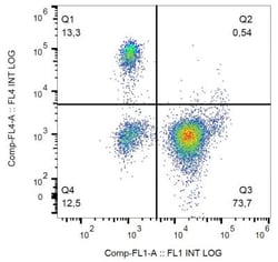 Fc gamma RIIIA/CD16a Antibody (3G8) - BSA Free, Novus Biologicals:Antibodies:Primary