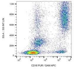 Fc gamma RIIIA/CD16a Antibody (3G8) - BSA Free, Novus Biologicals:Antibodies:Primary