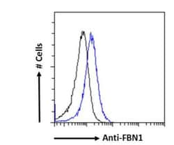 Fibrillin 1 Antibody, Novus Biologicals 0.1mg; Unlabeled:Antibodies, Polyclonal