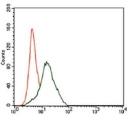 Frizzled-5 Antibody (2D12) - BSA Free, Novus Biologicals 0.1mL; Unlabeled:Antibodies,