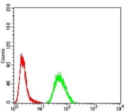 G-CSF Antibody (8G5F7) - BSA Free, Novus Biologicals 0.1mg; Unlabeled:Antibodies,
