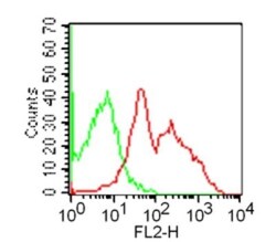 GITR/TNFRSF18 Antibody (DTA-1), Novus Biologicals 0.1mg; Unlabeled:Antibodies,