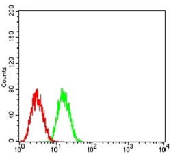 GLI-1 Antibody (1B9F8) - BSA Free, Novus Biologicals 0.1mg; Unlabeled:Antibodies,
