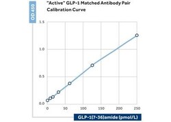 GLP1 Antibody (10) - BSA Free, Novus Biologicals:Antibodies:Primary Antibodies