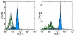 GM-CSFR alpha Antibody (4H1), Novus Biologicals:Antibodies:Primary Antibodies