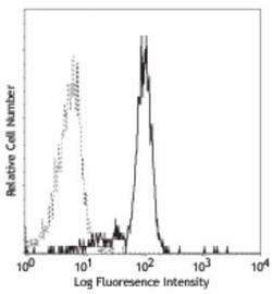 GM-CSFR alpha Antibody (4H1), Novus Biologicals:Antibodies:Primary Antibodies